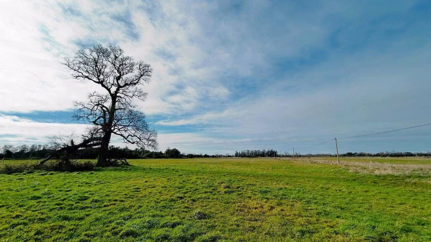 Parcela, Loteo Río Damas (113511)
