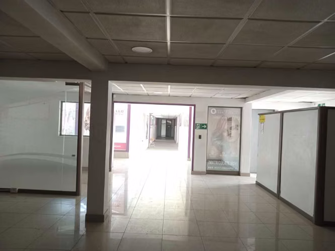 local comercial, oficinas, bodega, patio  (113717)