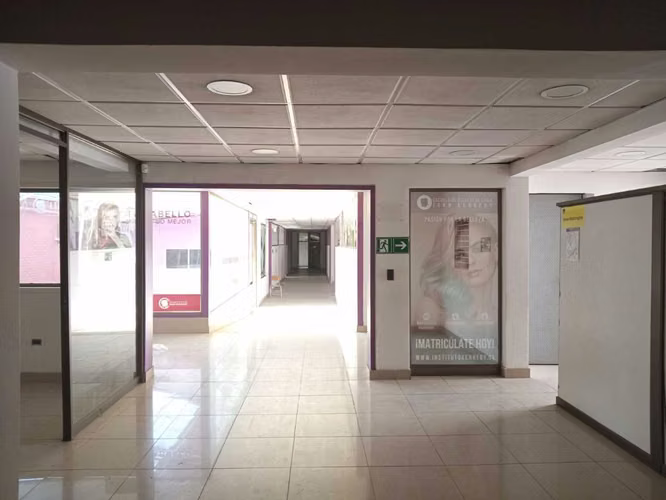 local comercial, oficinas, bodega, patio  (113717)