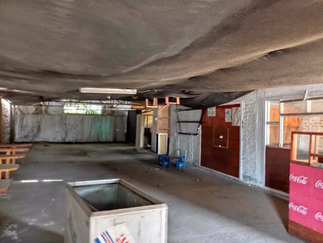 Vendo local comercial con terreno (113734)