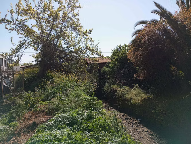 Vendo local comercial con terreno (113734)