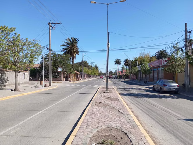 Vendo local comercial con terreno (113734)