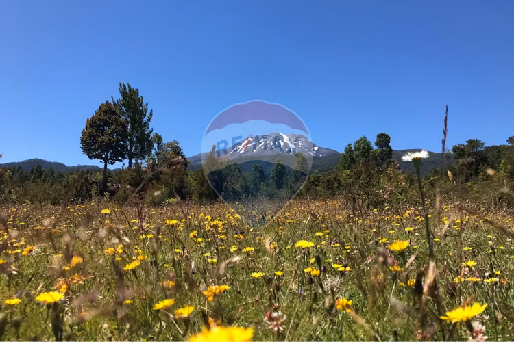 Se vende parcelas parque pudu.
