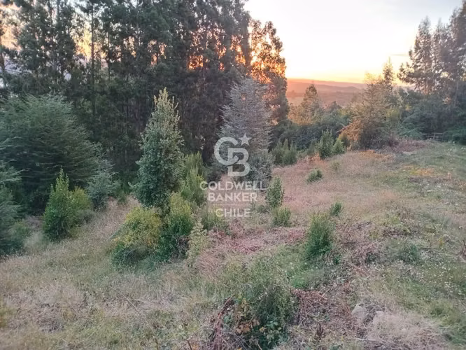 Hermoso terreno con vista al Lago Ranco