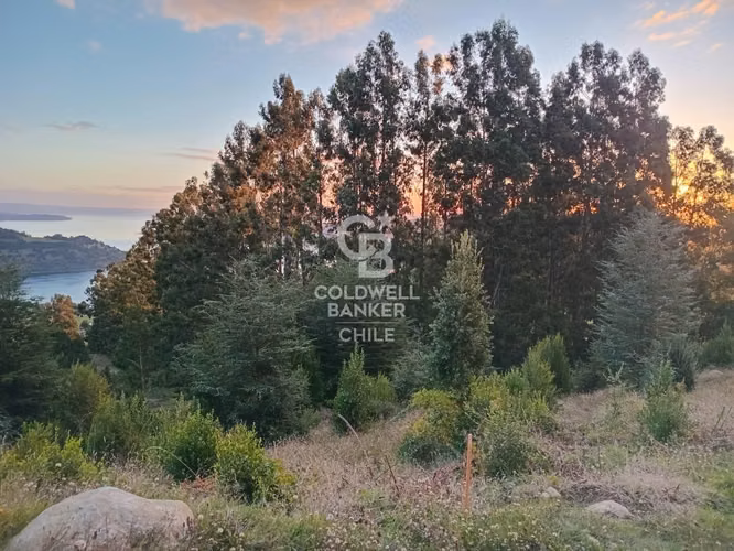 Hermoso terreno con vista al Lago Ranco