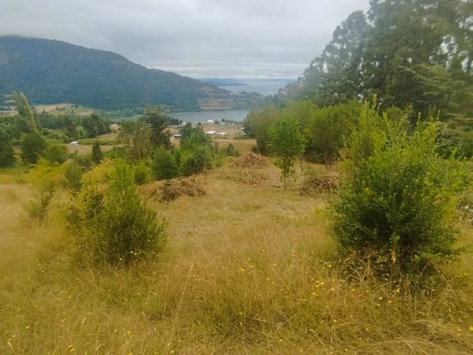 Hermoso terreno con vista al Lago Ranco