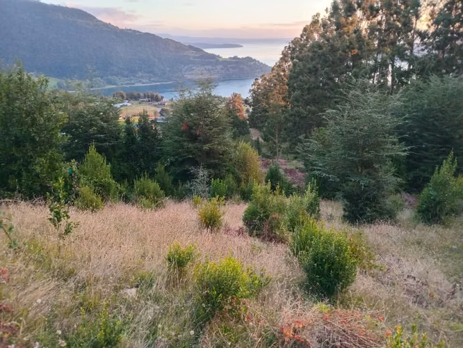 Hermoso terreno con vista al Lago Ranco