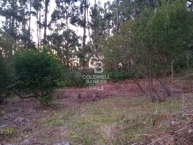 Hermoso terreno con vista al Lago Ranco