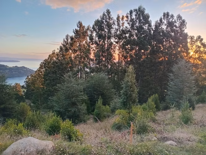 Hermoso terreno con vista al Lago Ranco