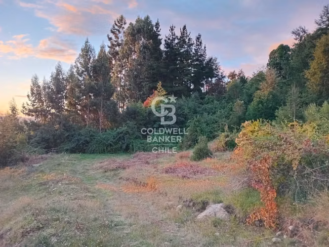 Hermoso terreno con vista al Lago Ranco