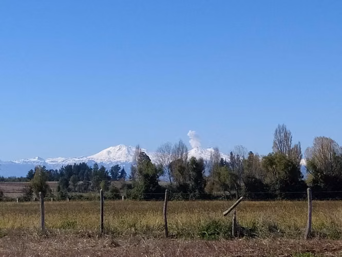 Parcela sector Riconada , comuna el Carmen