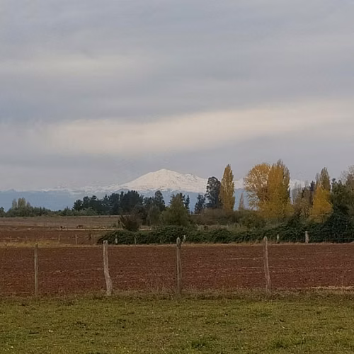 Parcela sector Riconada , comuna el Carmen