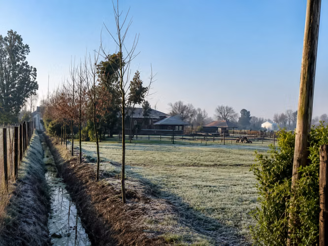 VENTA¡ PARCELA-CASA, CAMINO A COMALLE, J-40, A 20 MIN CURICO
