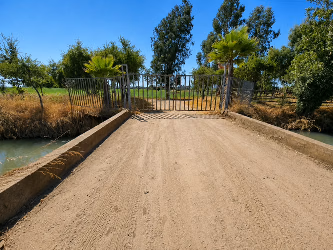 EN VENTA¡¡  55 HECTAREAS, PELARCO. REGION DEL MAULE.