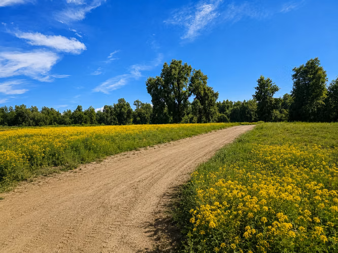 EN VENTA, PROYECTO PARCELAS PLENA NATURALEZA, DESDE $15 MM