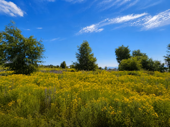 EN VENTA, PROYECTO PARCELAS PLENA NATURALEZA, DESDE $15 MM