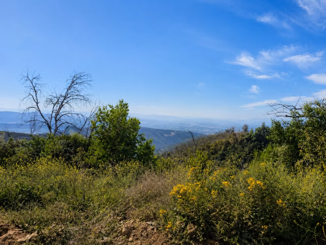 EN VENTA, PROYECTO PARCELAS PLENA NATURALEZA, DESDE $15 MM