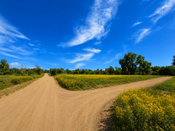 EN VENTA, PROYECTO PARCELAS PLENA NATURALEZA, DESDE $15 MM