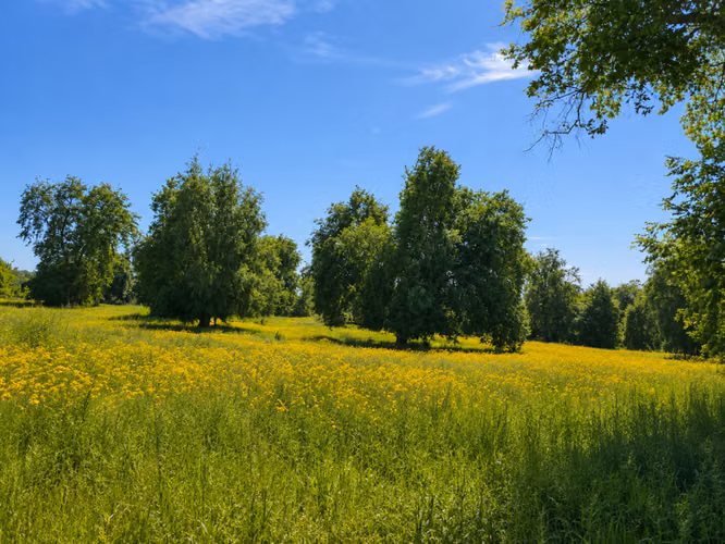 EN VENTA, PROYECTO PARCELAS PLENA NATURALEZA, DESDE $15 MM