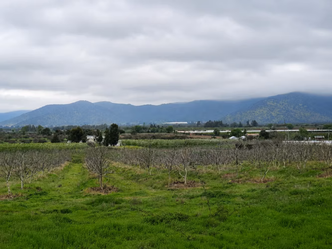 HERMOSA PROPIEDAD  DE 2 HECTAREAS  CON CASA EN PALQUIBUDI.