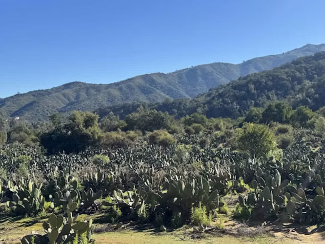 Venta de Gran Parcela Sector Los Perales Quilpue
