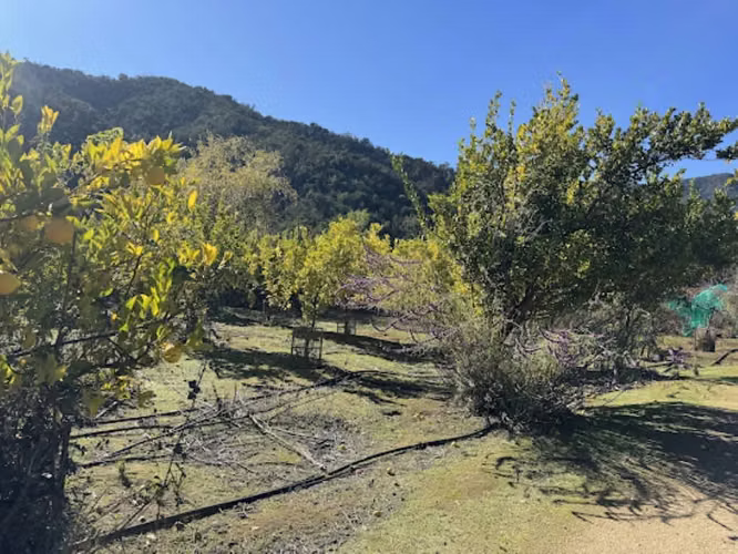 Venta de Gran Parcela Sector Los Perales Quilpue
