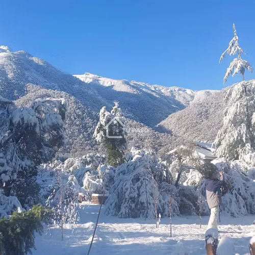 Venta parcela Santuario de la Naturaleza (114422) - Imagen 6
