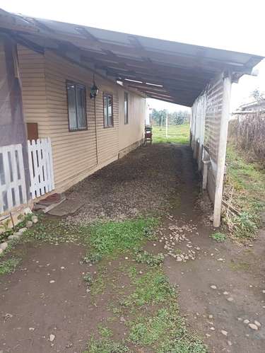 Teno, Camino Las Liras - Imagen 13