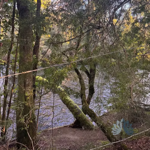 5.000 m² con acceso al Río Cruces (114707)