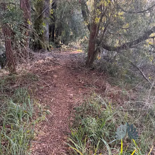 5.000 m² con acceso al Río Cruces (114707)