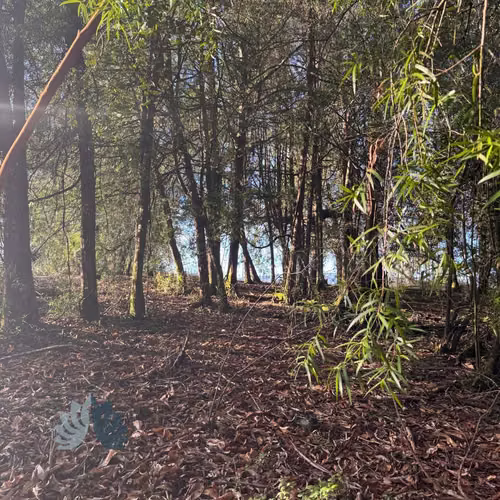 5.000 m² con acceso al Río Cruces (114707)
