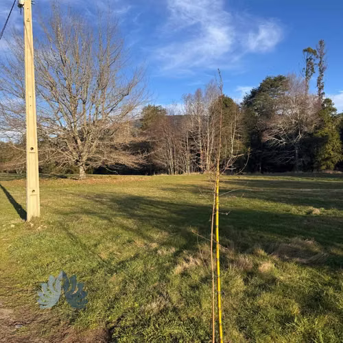 5.000 m² con acceso al Río Cruces (114707)