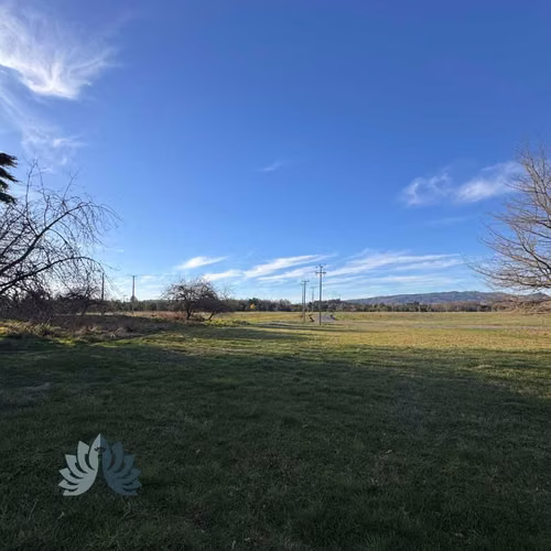 5.000 m² con acceso al Río Cruces (114707)