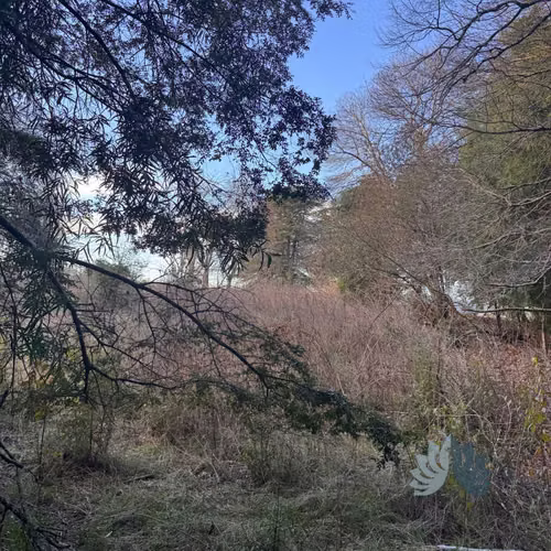5.000 m² con acceso al Río Cruces (114707)