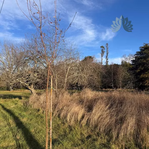 5.000 m² con acceso al Río Cruces (114707)