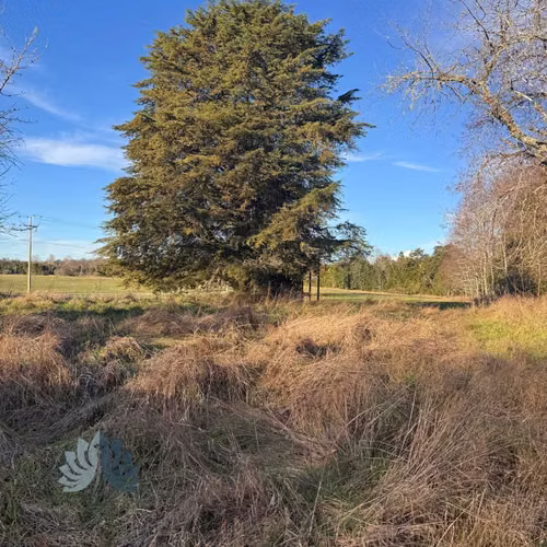 5.000 m² con acceso al Río Cruces (114707)