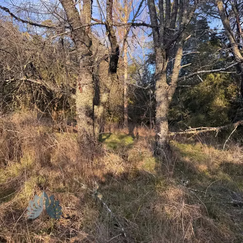 5.000 m² con acceso al Río Cruces (114707)