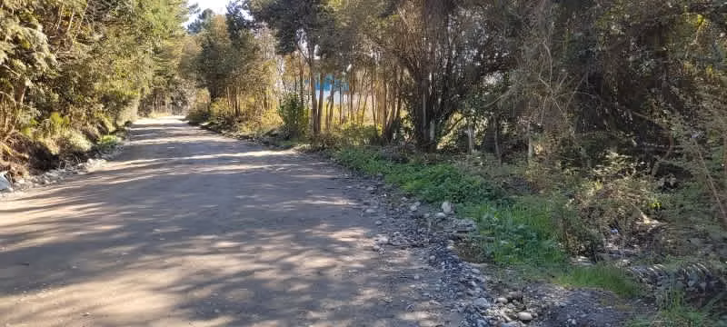 Terreno Urbano Trapen