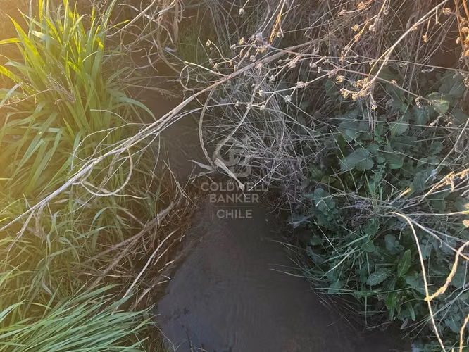 Parcela 5000m2 con luz y agua San Esteban