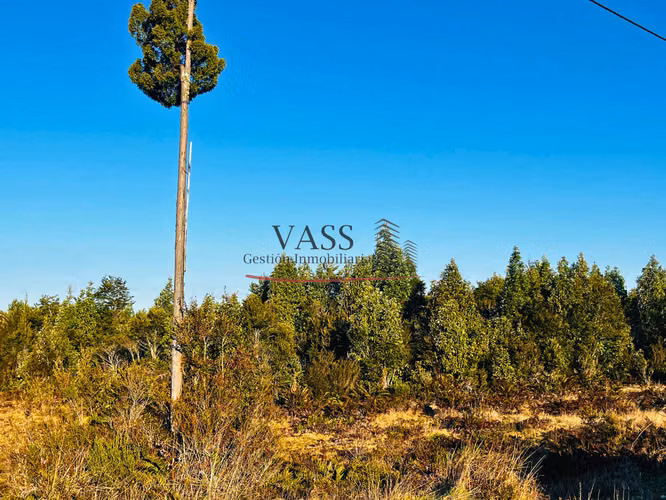 VASS vende parcela de 5.070 m² en Colonia 3 Puentes, Puerto Varas