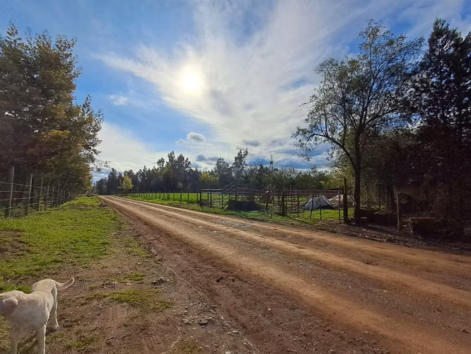 7,2 Há Agricola Planas, Casa De 100m2, Luz, Agua Potable