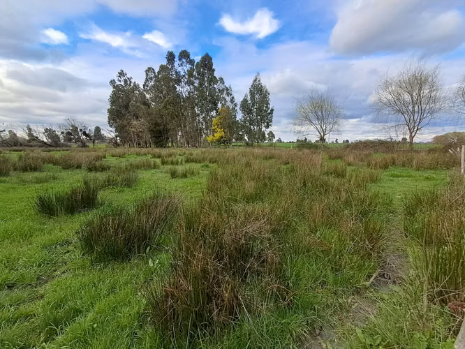 7,2 Há Agricola Planas, Casa De 100m2, Luz, Agua Potable