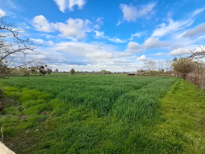7,2 Há Agricola Planas, Casa De 100m2, Luz, Agua Potable