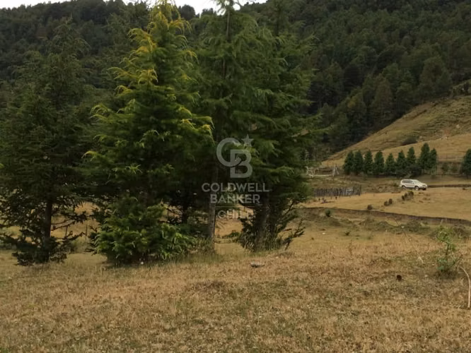 Aguas Termales  para proyecto turístico en el sur de Chile