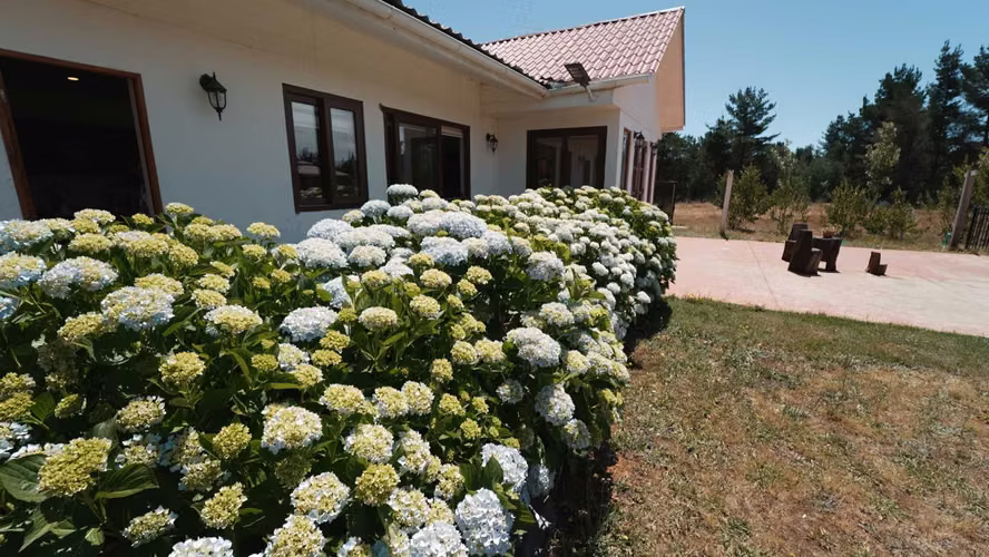Casa con 2 cabañas y piscina en Quinamávida (115102)