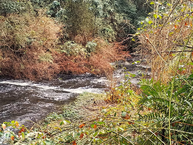 Cabaña en sector playa Linda, Molco Bajo camino Villarrica - Pucón