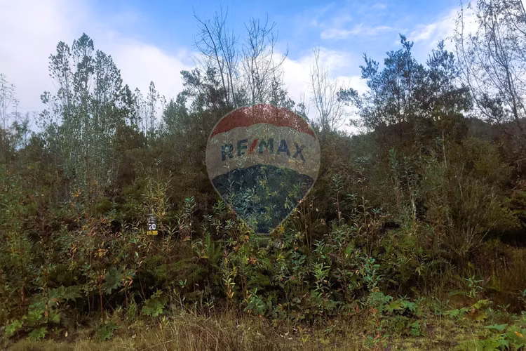 Vende parcela 5.000 m2/rio blanco/ensenada