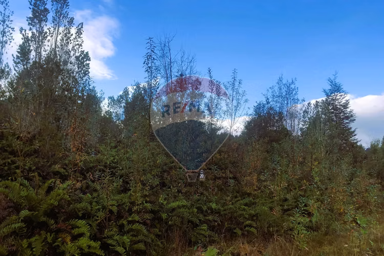 Vende parcela 5.000 m2/rio blanco/ensenada