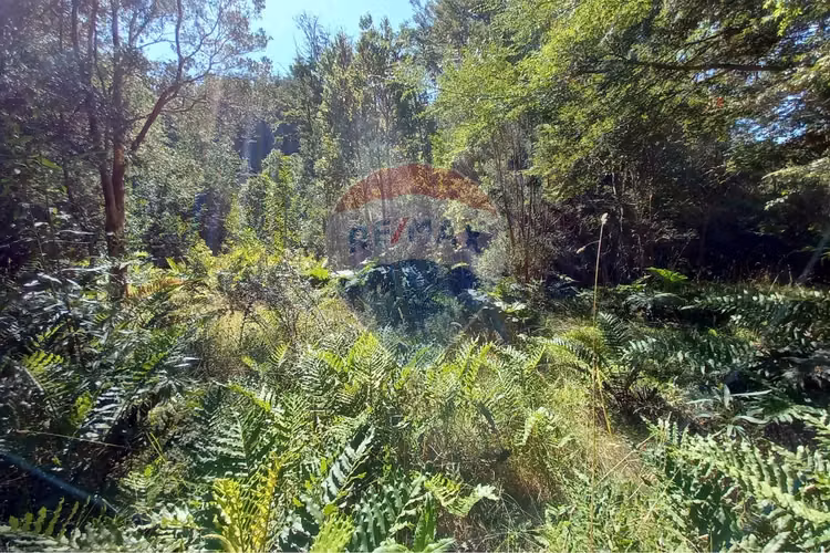 Vende parcela 5.000 m2/rio blanco/ensenada