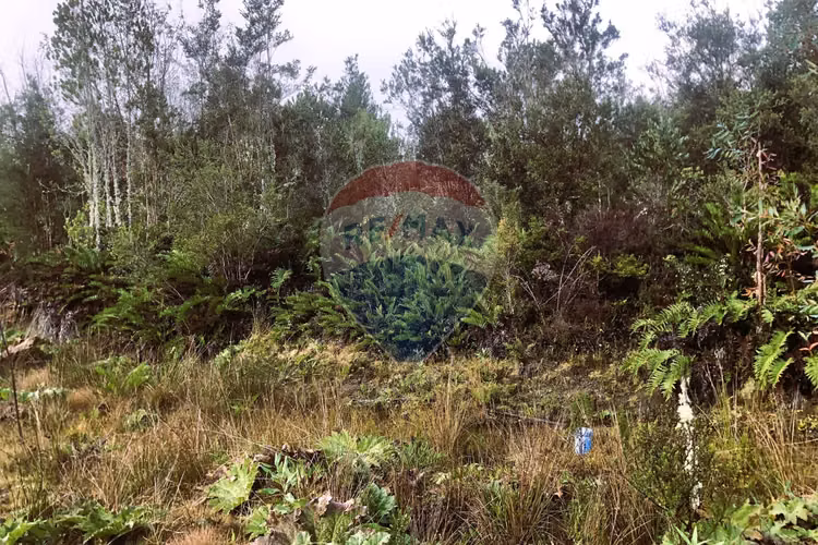 Vende parcela 5.000 m2/rio blanco/ensenada